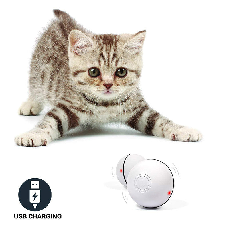 LED Laser Electronic Rolling Pet Funny Cat Toy Balls