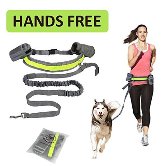 Hands Free Dog Collar