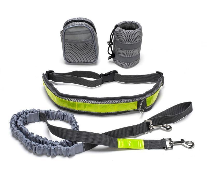 Hands Free Dog Collar