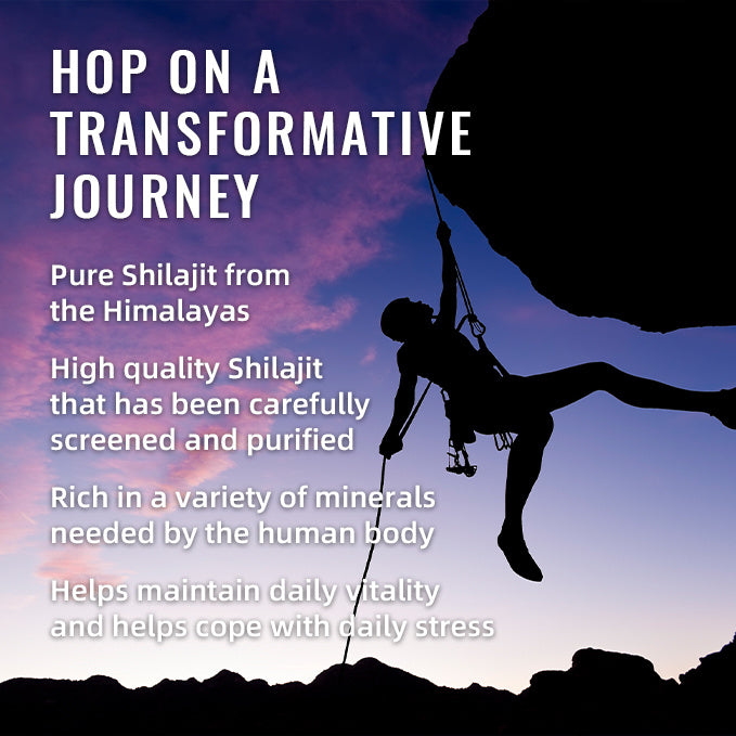 BSBY PREMIUM SHILAJIT GUMMIES TAKE 1 PER DAY 60'S